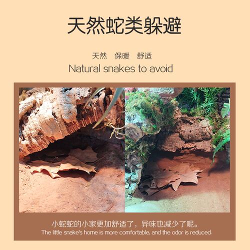 天然造景干树叶爬宠蛇类蜥蜴类龟类造景垫材M爬宠箱爬箱水质调节