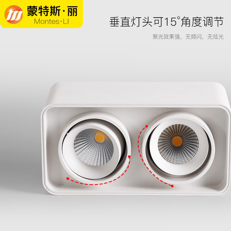 明装双头射灯gled天花灯吸顶式斗胆灯客厅筒灯卧室方形无主灯照明