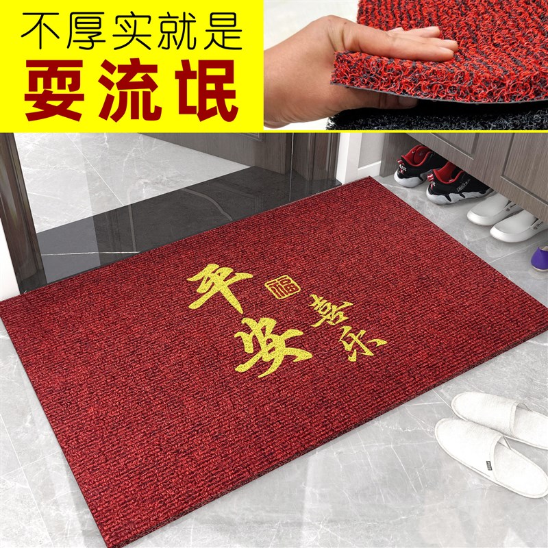 加厚丝圈入户e门垫2023新款进门口地垫地毯脚垫玄关乔迁之喜耐脏