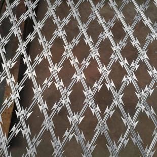 刀片刺网防爬防盗刀刺网防猫网刀片焊接网斜方孔护栏围网刺绳加厚
