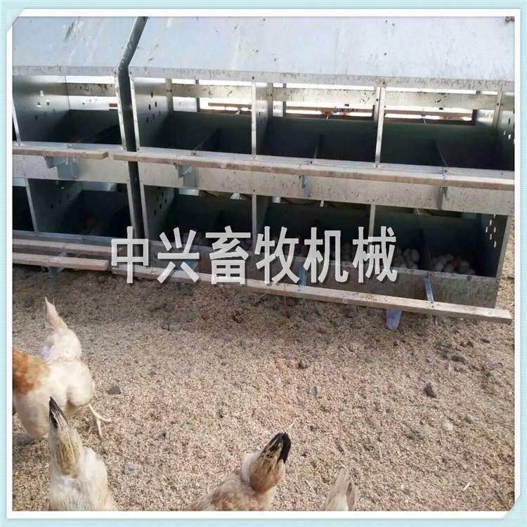 鸡产蛋窝高清图鸡蛋窝大图母鸡蛋窝规格