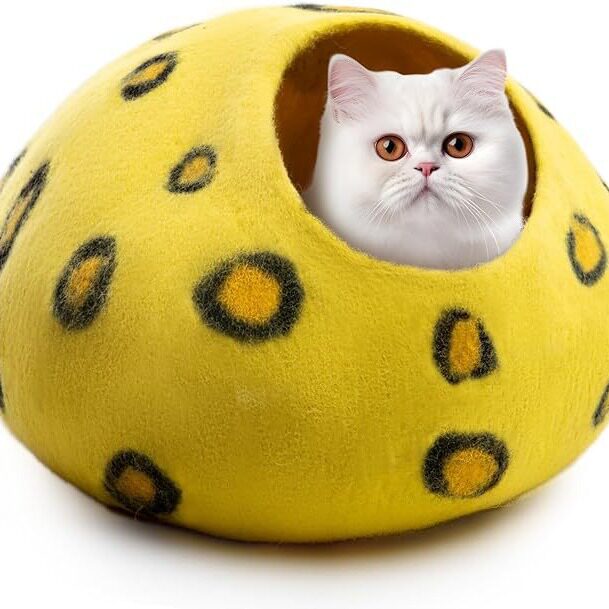 宠物用品窝 羊毛毡宠物房子 一体成型 新款纯羊毛毡猫窝猫洞