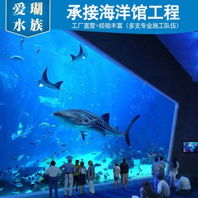 超大型亚克力鱼缸 海洋展馆水族箱造景 大型鱼缸设计建设施工一体