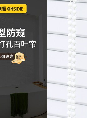 Z型防窥L百叶窗帘免打孔w卫生间专用浴室厕所厨房遮光升降卷帘