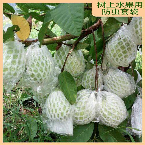 源头厂家水果网套包番石榴t防虫袋芭乐网袋加厚袋子包装袋一体套