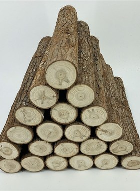 天然树木杉木干树段树桩装饰树干杉木杆枯树杆真婚庆园林圆木