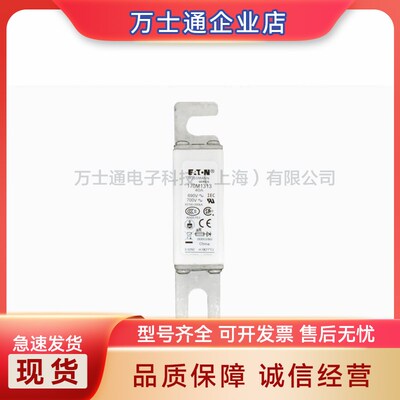 巴斯曼 170M1313 170M1312 170M1311170M1310170M1309 快速熔断器