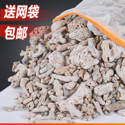 天然大块珊瑚骨滤材鱼缸过滤材料净水珊瑚石净化珊瑚砂过滤沙石