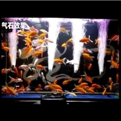 家用交流增氧泵鱼缸增氧机水族箱氧气泵小型养鱼老人用制氧冲氧泵