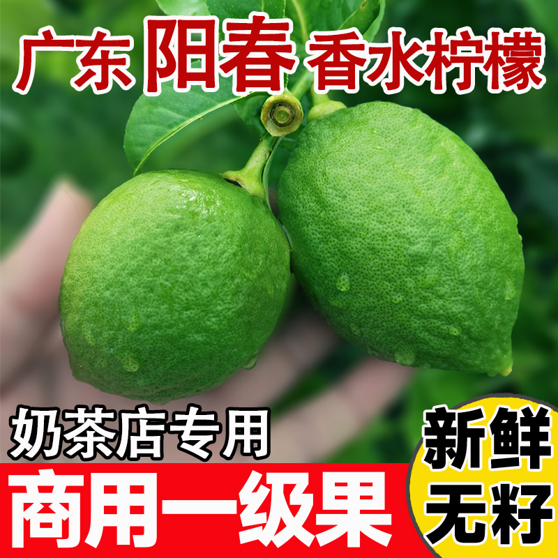 正宗广东无籽香水柠檬