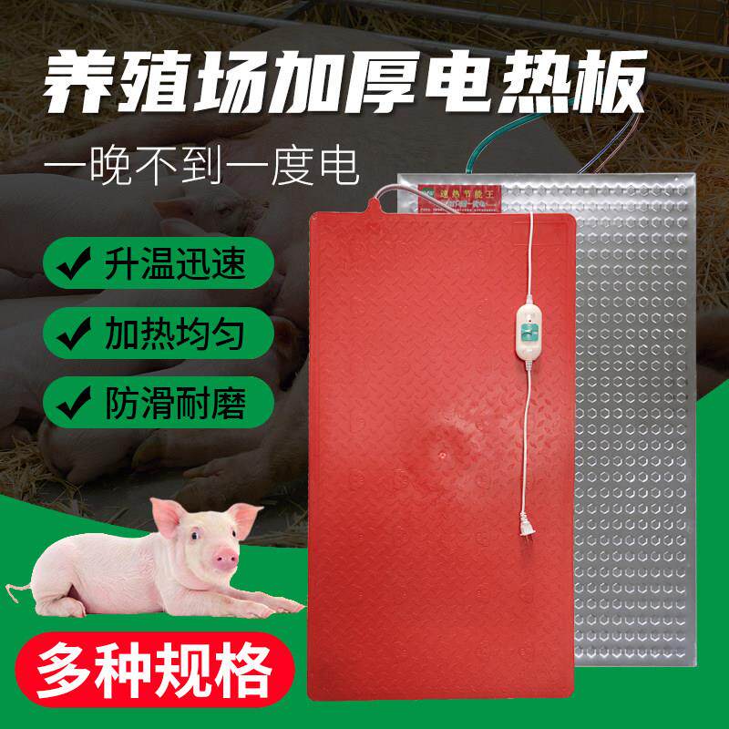 猪用电热板兽用仔猪加热板母猪产床保育电热保温板宠物养殖加热板