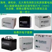正品 海湾泰和安消防主机蓄电池青鸟气体灭火灾报警控制器备用电池