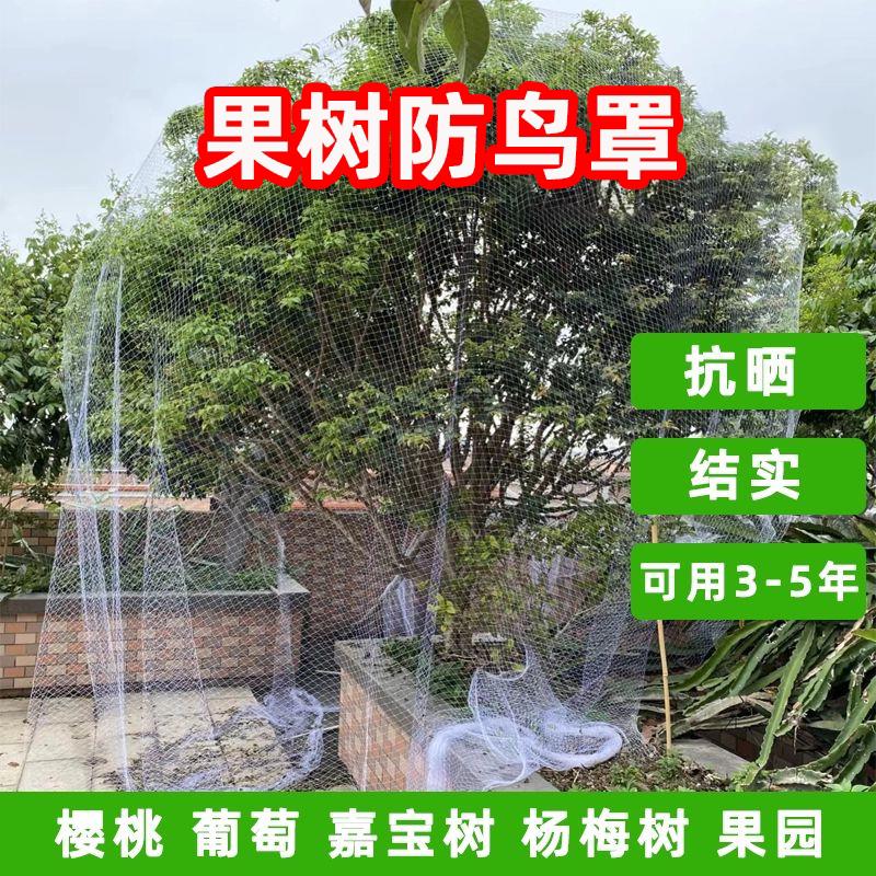 果树防鸟罩专网农用防鸟丝网果园天网嘉宝果树防鸟罩子阳台防鸟网