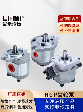 新鸿款液压齿轮泵HGP-1A/2A3A全系列GPY-F2R~F12R系列高压齿轮泵