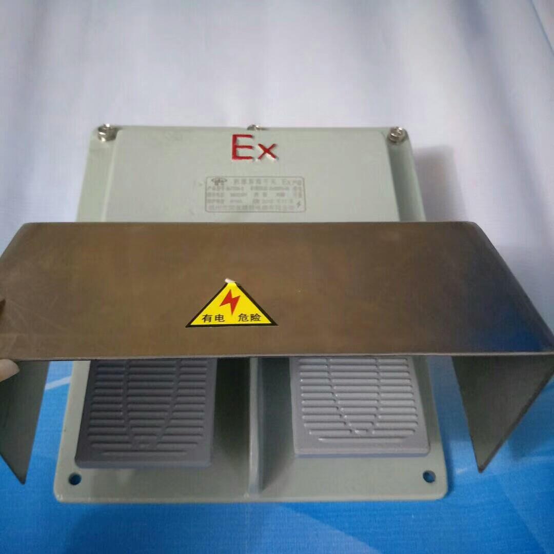防爆脚踏开关双踏DLXK-DYT-S防爆双踏开关380V220V一常开一常闭铝