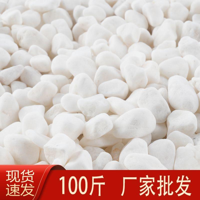 100斤白石子白色鹅卵石铺地庭院装饰花园造景铺路白石头砾石