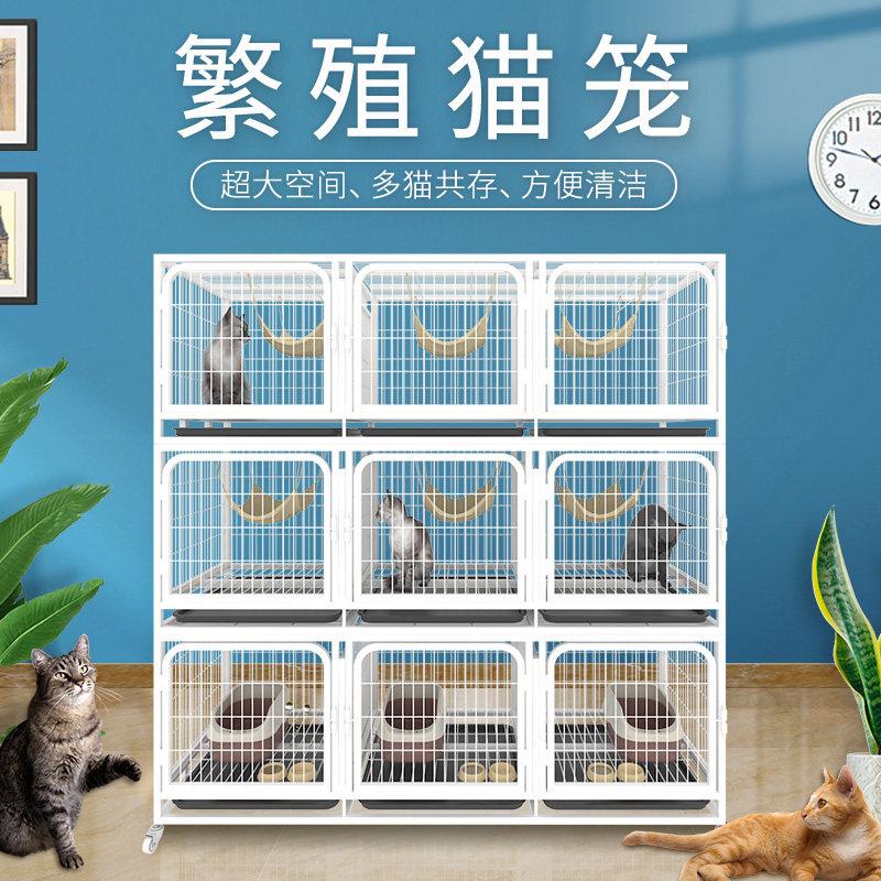 猫笼三层宠物店寄养笼多层繁殖笼带隔断双层繁育笼猫舍子母笼笼子