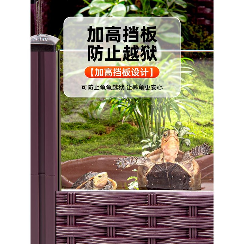 黄缘养殖箱龟饲陆龟安缘半水乌龟专用缸家用养爬虫生态造景观赏盆