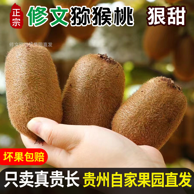 新鲜水果修文猕猴桃孕妇奇异果图片
