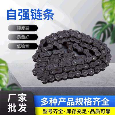 厂家自强链条08B-2.10A-2.12A-21.16A-2.20A-2.等系列链条