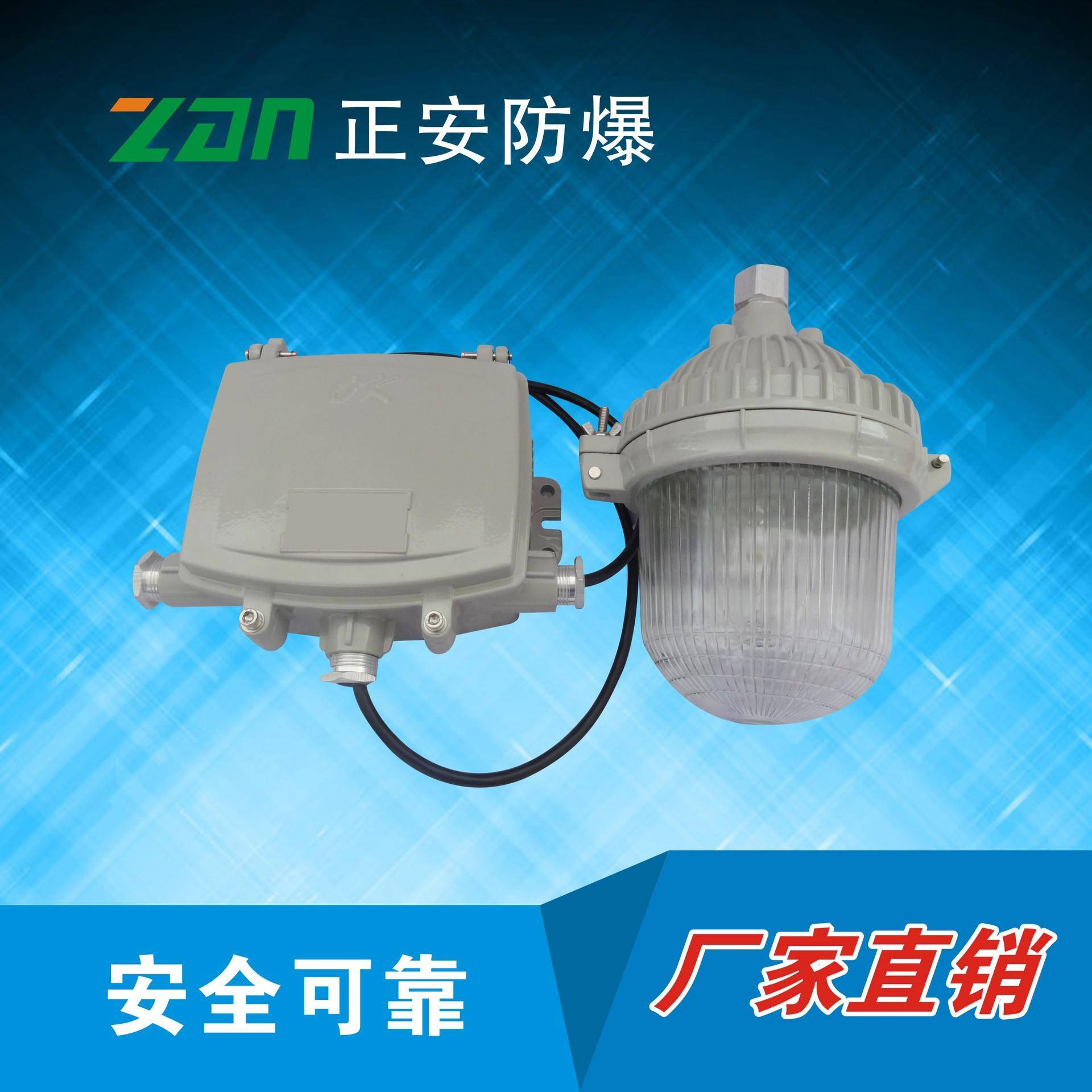 ZAD907JY-70(150)/220防炫泛光灯