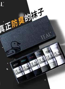 TEAL 冰爽抑菌防臭网眼透气中筒薄棉夏季男士袜子礼盒装FC314