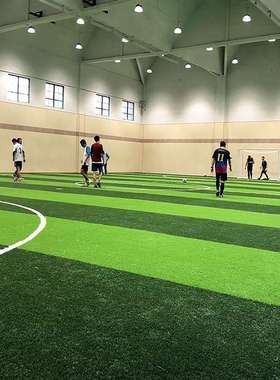 韦步K723足球场仿真地毯人造草坪运动场专用塑料假草皮30mm/50mm