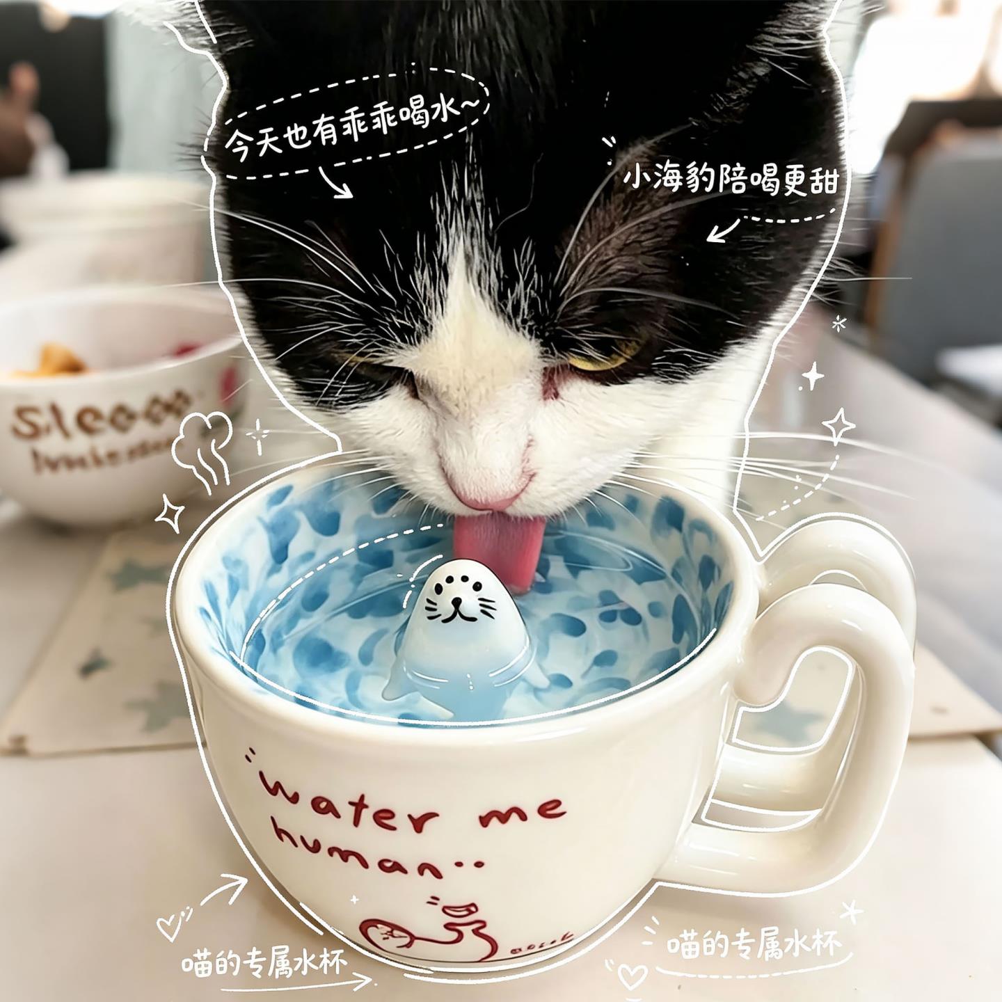 陶瓷小海豹骗水猫碗防黑下巴