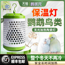 鹦鹉鸟类专用无光保温灯取暖恒温控过冬防咬防烫灯罩鸟笼窝加热器