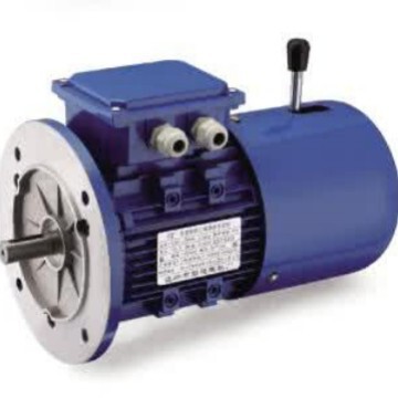 YEJ-100L1-4 2.2kw刹车电机