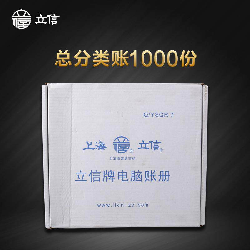 立信TR201总分类账电脑套打凭证连打总分类账财务会计电脑连续打