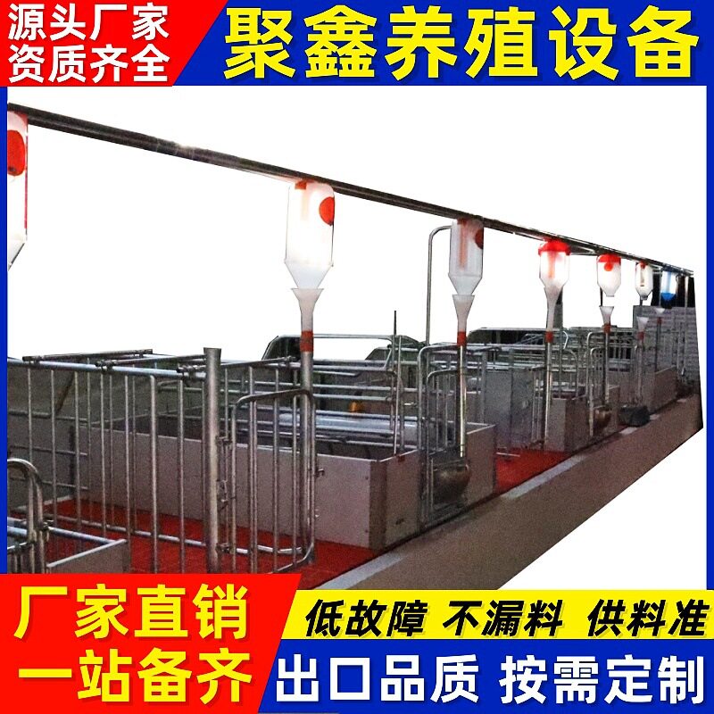 套养塞猪场自动料线牲畜饲喂设备料塔线养殖自料动化养殖料线