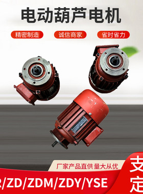 起重机电机电动葫芦电机YZR.ZD.ZDM.ZDY.YSE软启动