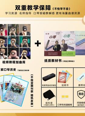 东方鼎T009十孔布鲁斯口琴专业练习帕迪音