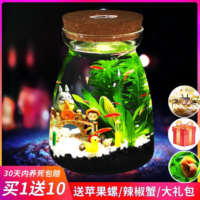 带LED灯迷你水族箱创意diy生态瓶鱼微景观办公桌面小型玻璃鱼缸