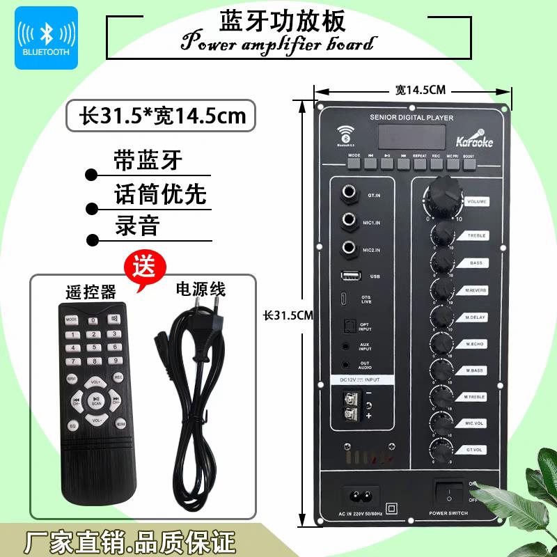 大功率DSP蓝牙功放板12V电瓶220V充电大功率主板改装组装音响配件