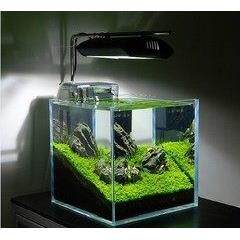 金晶超白流鱼缸鱼缸迷你水族生态鱼缸20/25cm 30- 50cm台式鱼缸