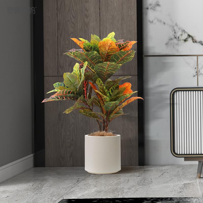罗曼妈妈客厅高档仿真植物装饰室内变叶木盆栽七彩落地绿植盆景