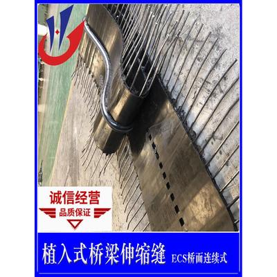 植入式桥面连续伸缩缝装置 ECS连续构造钢筋橡胶止水带桥梁伸缩缝