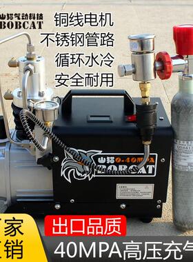 山猫电动高压打气机30mpa 高压打气机40mpa 小型单缸水冷打气机筒