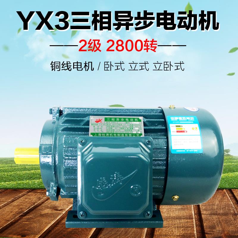 上海钱涛全铜线三相异步电动机立式/卧式/立卧式2级国标电机380V
