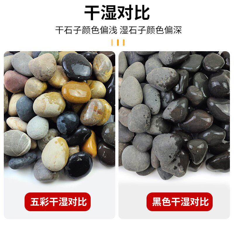 50斤鹅卵石铺地石头天然原石庭院造景布N置雨花石石子鹅软暖石