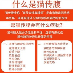 猫传腹干性湿性消腹水大肚子腹膜炎无L痛抑制剂营养液水剂油剂