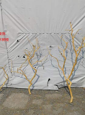 干树枝去皮原木树干枯树枝带分枝带杈树枝K室内挂灯干花插花瓶装