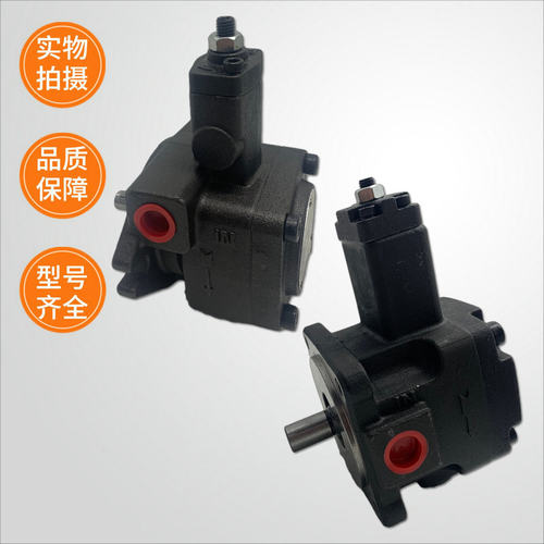 WIN MOST峯昌变量叶片泵VP-SF-20-D 12 15 30 40液压油泵A B C-10