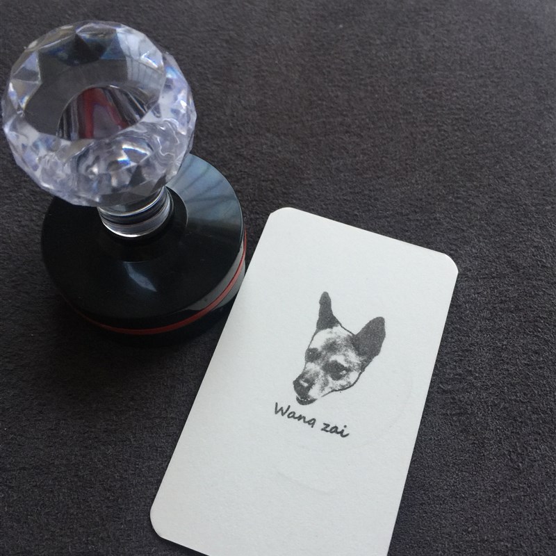 宠物动物狗猫兔熊鸟来图定制印章生日礼物光敏照片头像印章