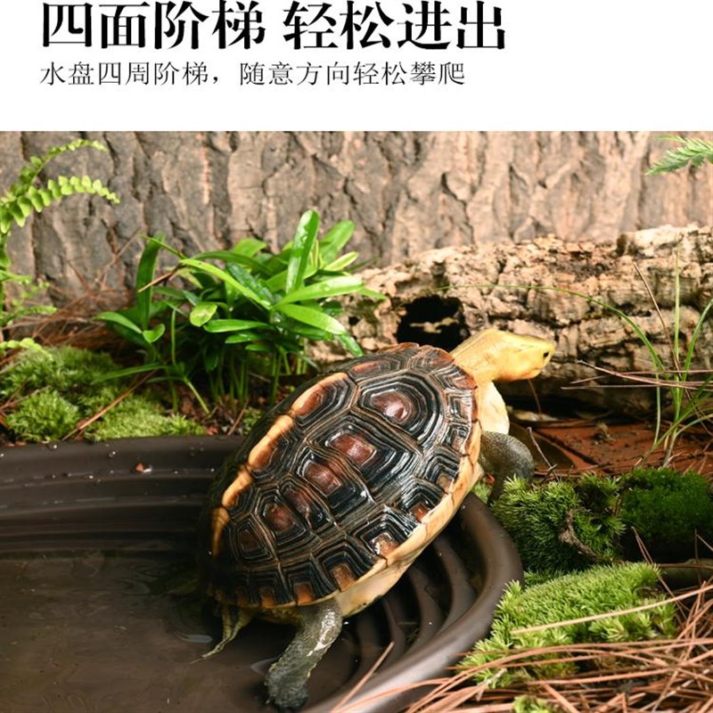 乌龟泡澡盆黄缘龟食盆水盆蜥蜴陆龟半水龟水族爬宠造景专用洗澡盆
