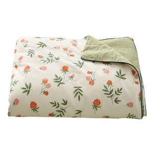 在耳边小清新夏被纯棉可水洗夏季 小被子全棉S双人空调被夏凉 薄款