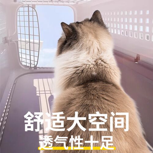 猫包外出便携猫咪航空q箱猫笼子狗包宠物大容量太空舱狗背包猫笼