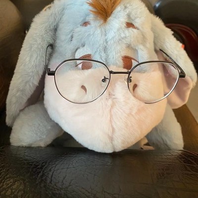 东迪屹耳驴Eeyore瞌睡系列呆萌可爱长毛绒公仔抱枕玩偶.送女生礼